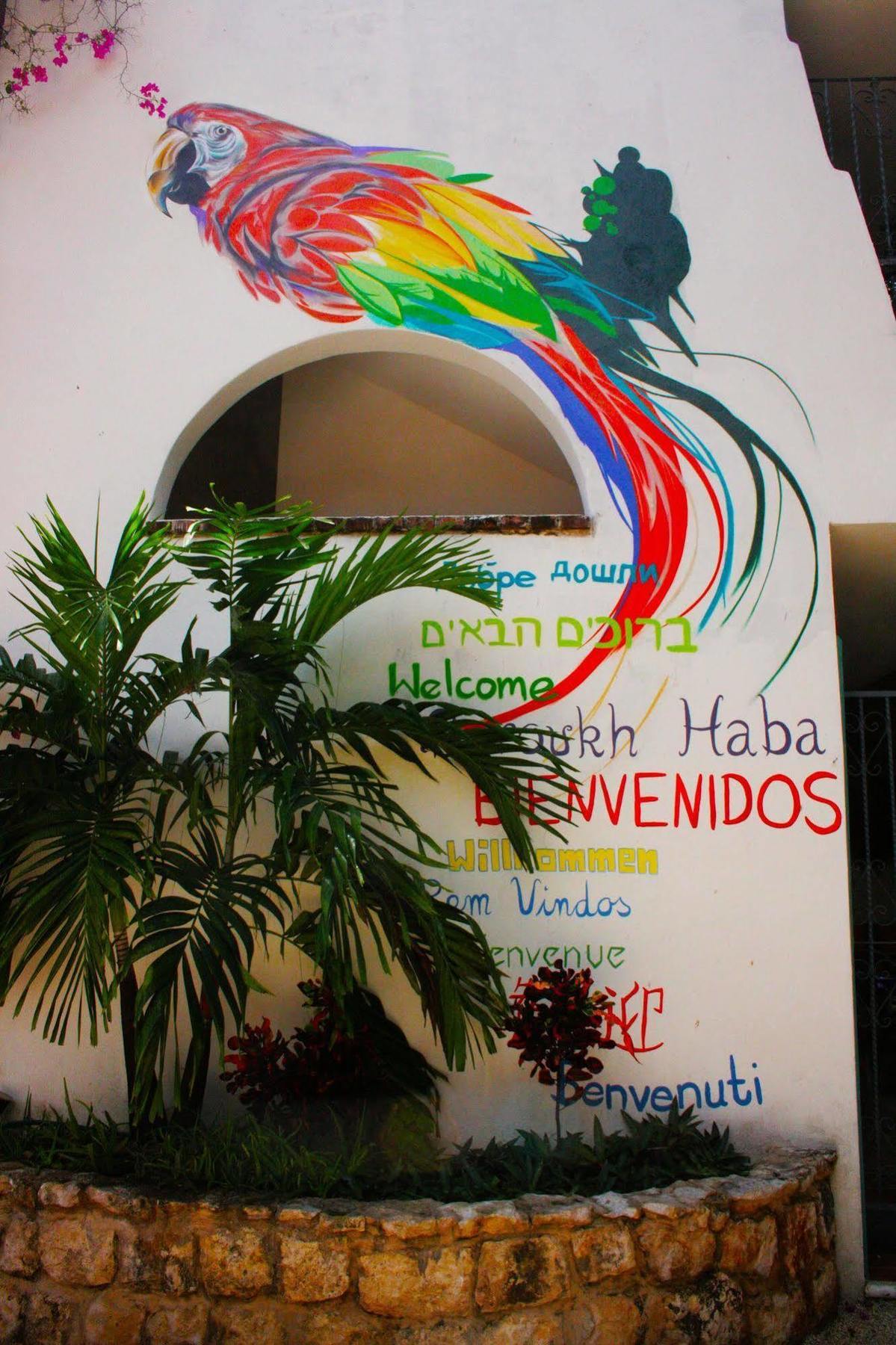 The Yak Hostel Playa del Carmen Exterior photo