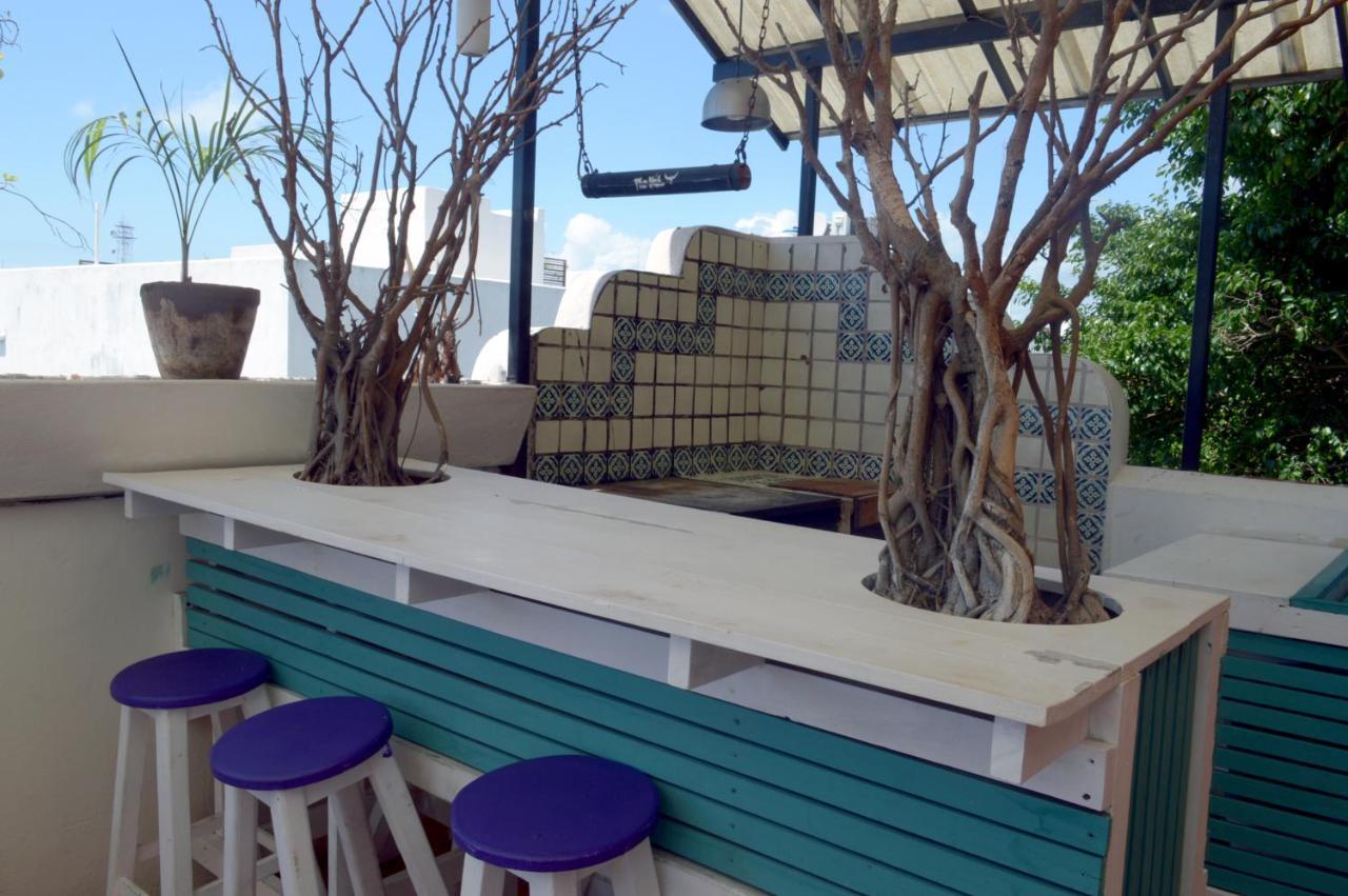 The Yak Hostel Playa del Carmen Exterior photo